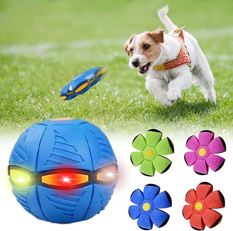 WhimPaw™ Dog Frisbee