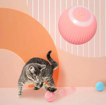 WhimPaw™ Interactive Ball