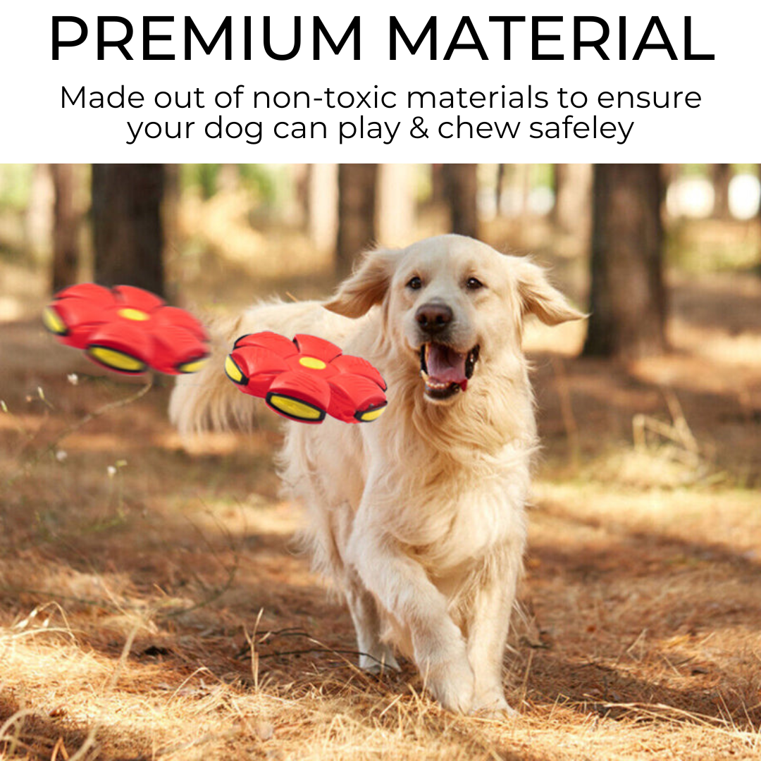 WhimPaw™ Dog Frisbee