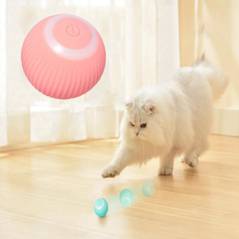 WhimPaw™ Interactive Ball